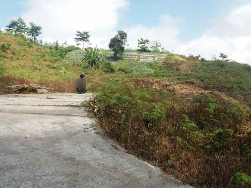 tanah 2 hektar tawangmangu karanganyar