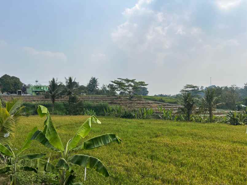 tanah 2833m utara pasar matesih karanganyar