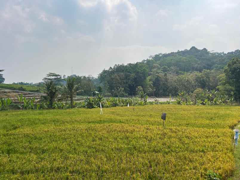 tanah 2833m utara pasar matesih karanganyar