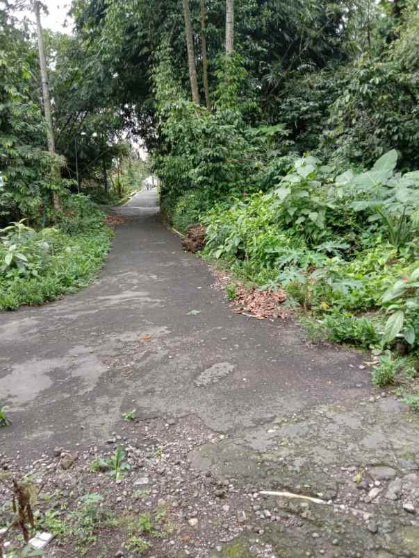 tanah bagus pakem luas tanah 1 179 m 3 muka