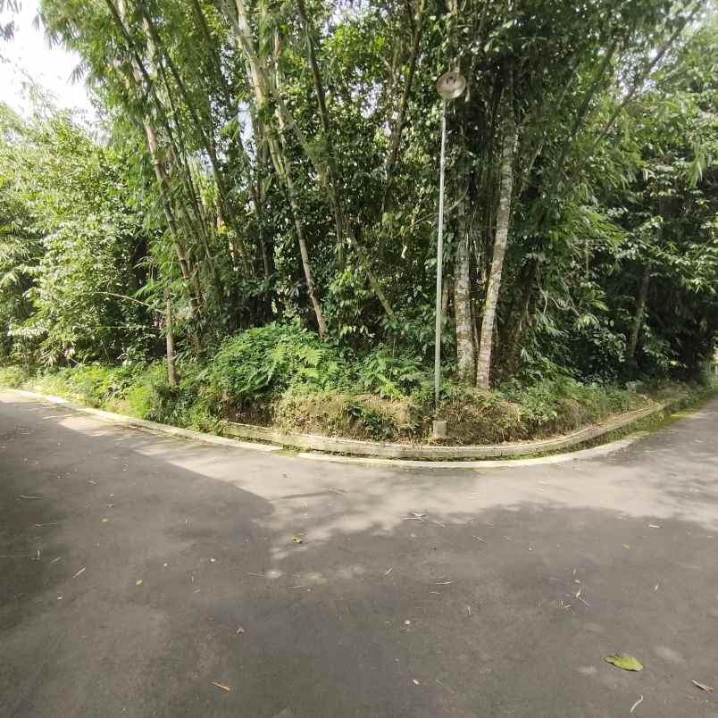 tanah bagus pakem luas tanah 1 179 m 3 muka