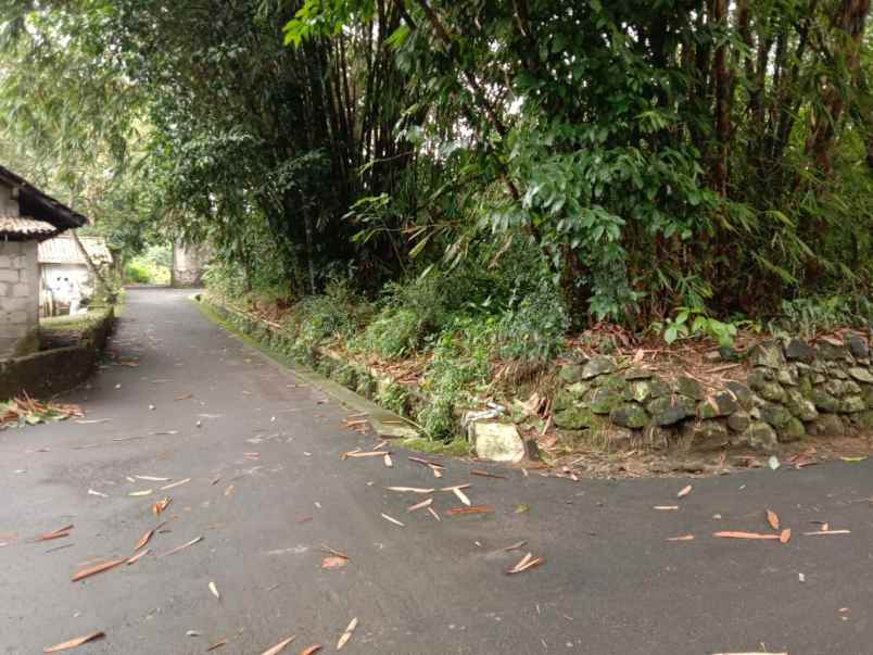 tanah bagus pakem luas tanah 1 179 m 3 muka