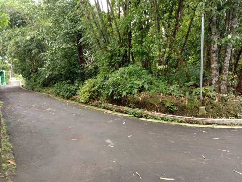 tanah bagus pakem luas tanah 1 179 m 3 muka