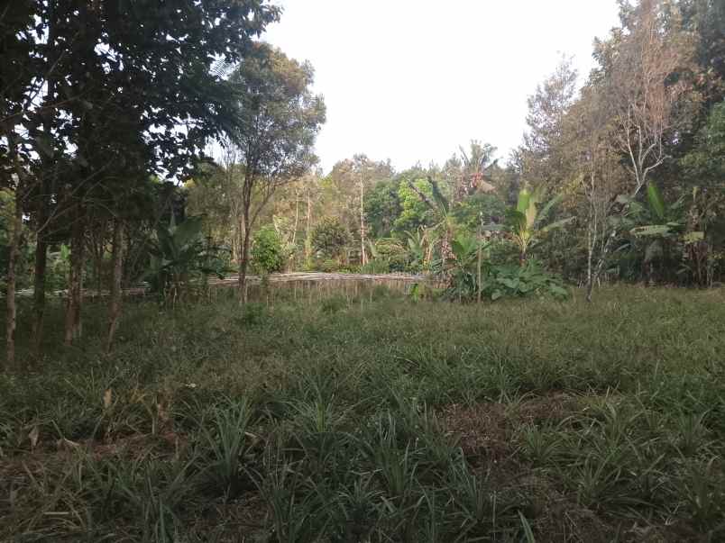 tanah daerah wisata sekitar ciater subang