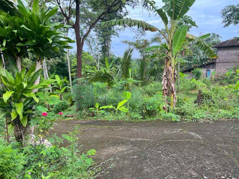 tanah dekat fasilitas umum kerjo karanganyar