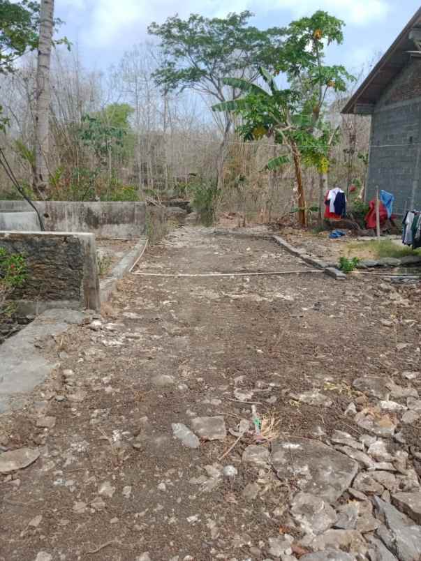 tanah depan sd asem cilik tuksono sentolo kulonprogo