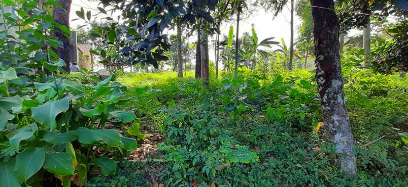 tanah jalan cigorowong kecamatan