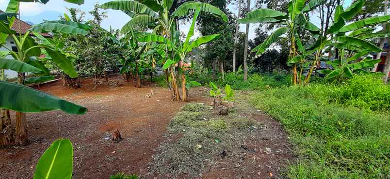 tanah jalan cigorowong kecamatan