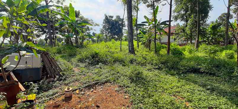 tanah jalan cigorowong kecamatan