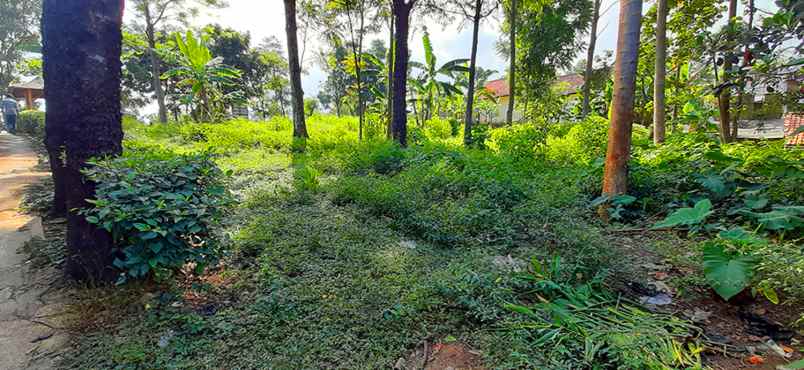 tanah jalan cigorowong kecamatan