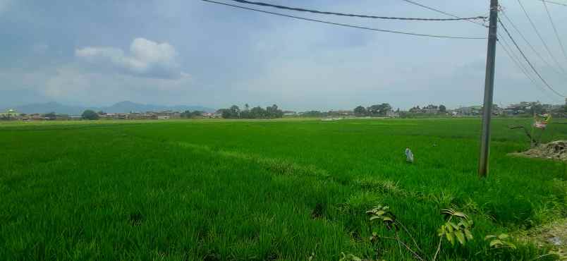 tanah jalan raya sapan