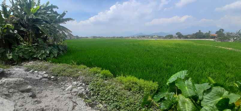 tanah jalan raya sapan