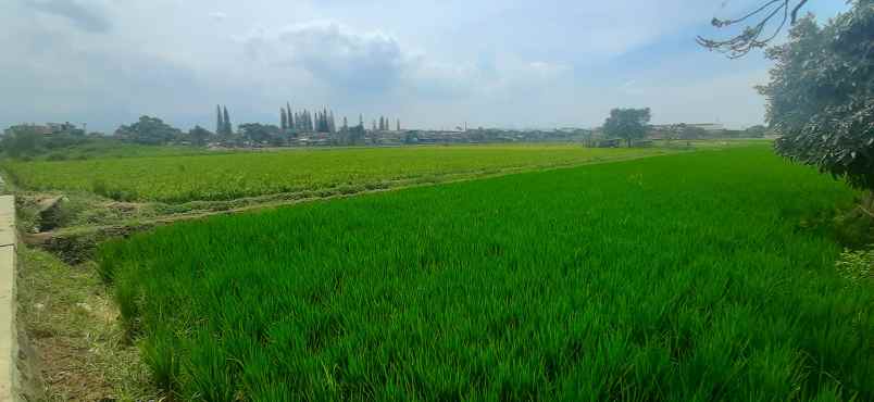 tanah jalan raya sapan