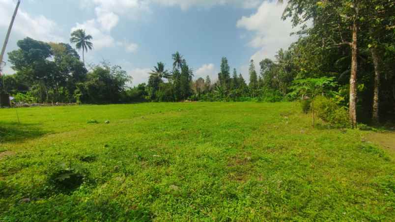 tanah kavling strategis harga murah