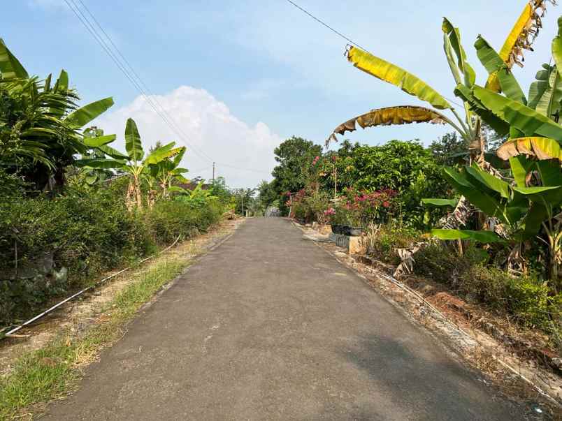 tanah kebun durian siap panen mojogedang karanganyar