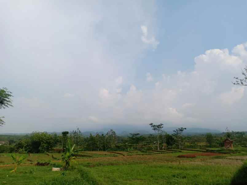 tanah kerjo karanganyar