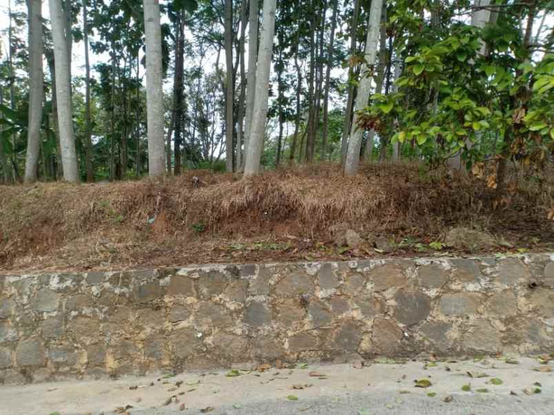 tanah kerjo karanganyar