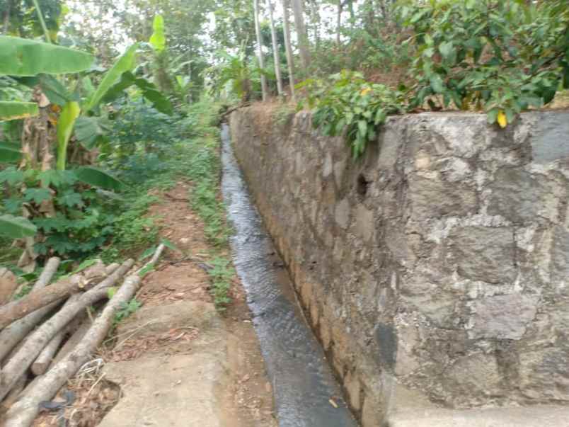 tanah kerjo karanganyar