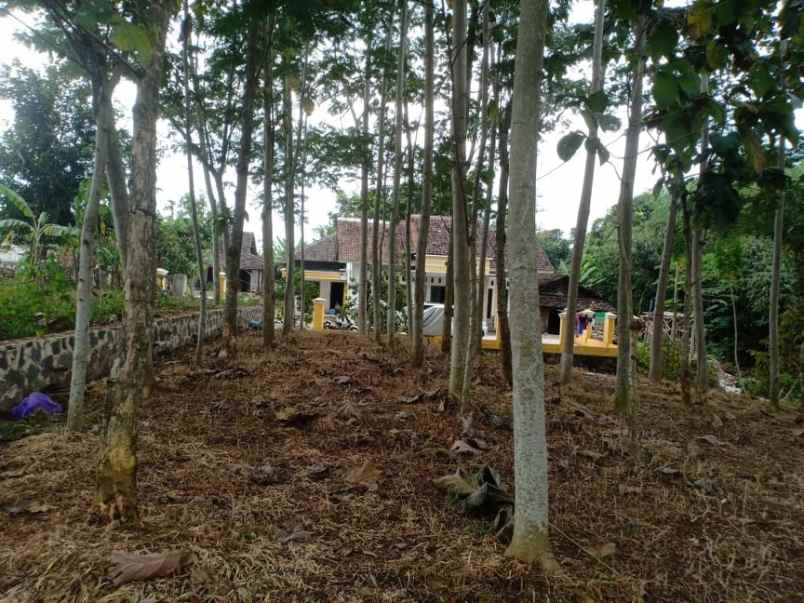 tanah kerjo karanganyar