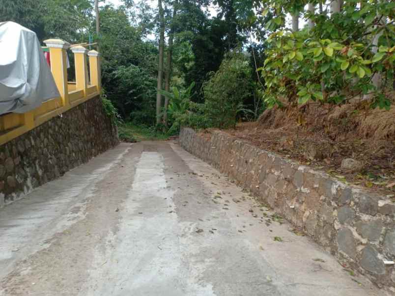 tanah kerjo karanganyar