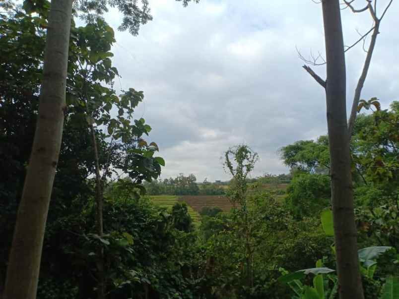 tanah kerjo karanganyar