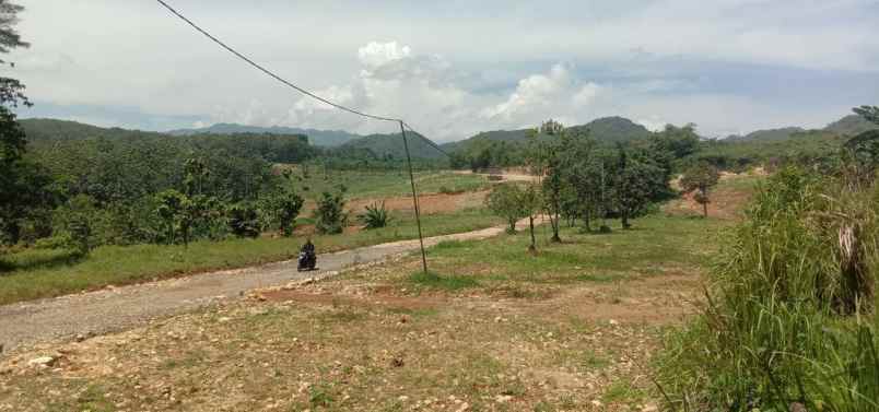 tanah klapanunggal bogor