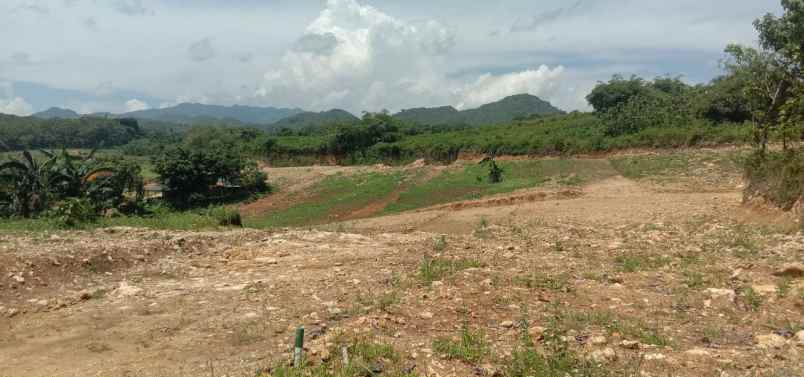 tanah klapanunggal bogor