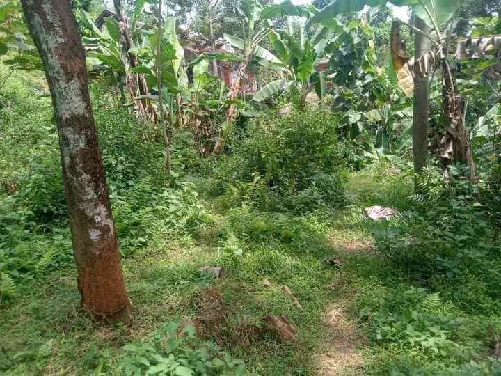 tanah murah 1700m2 100jt jenawi karanganyar