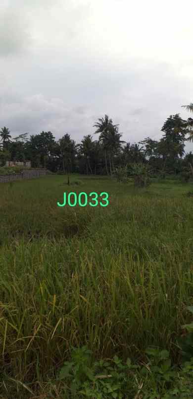 tanah murah sleman dekat pasar pakem shm sawah