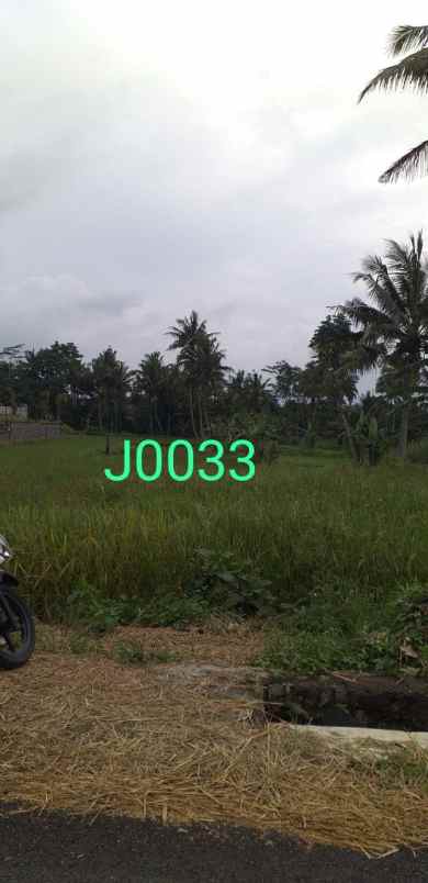 tanah murah sleman dekat pasar pakem shm sawah