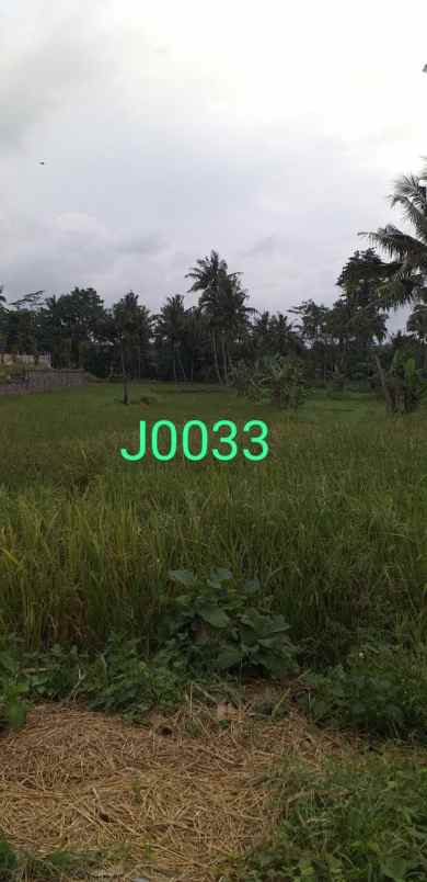 tanah murah sleman dekat pasar pakem shm sawah