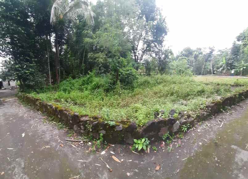 tanah pekarangan kaliurang dekat uii cocok untuk usaha