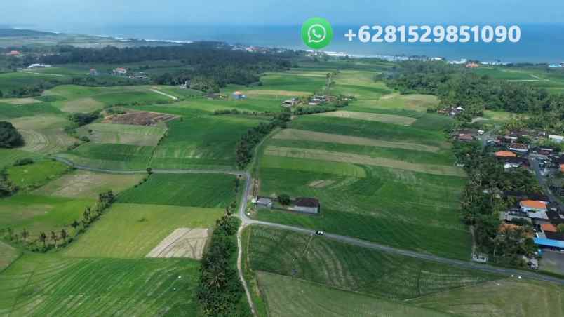 tanah sawah zona pink pariwisata di tabanan bali