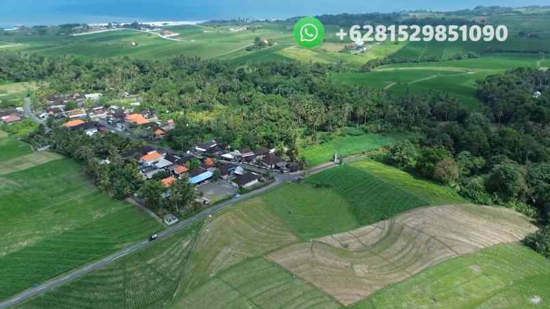 tanah sawah zona pink pariwisata di tabanan bali