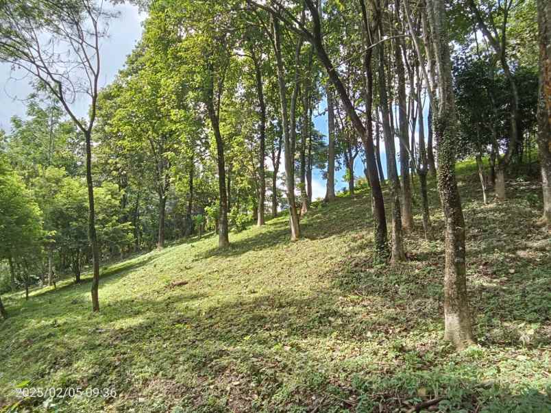 tanah siap bangun di bukit permata sentul bogor