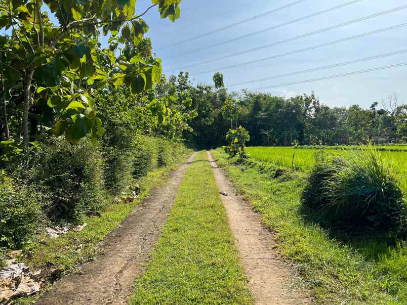 tanah subur 5360m view gunung lawu sragen