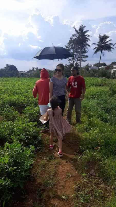 tanah sukamanah megamendung