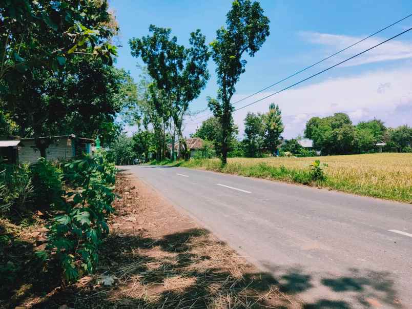 tanah tepi jl raya kedawung