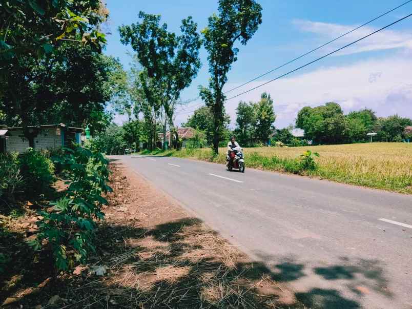 tanah tepi jl raya kedawung