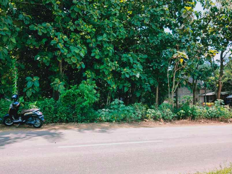 tanah tepi jl raya kedawung