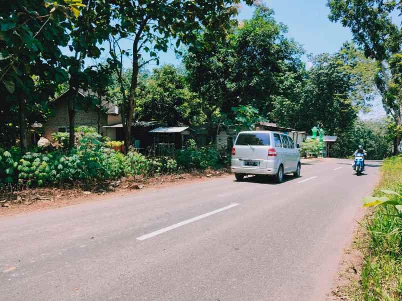 tanah tepi jl raya kedawung