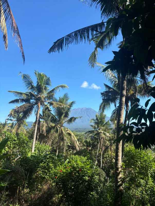 tanah view gunung dan sawah