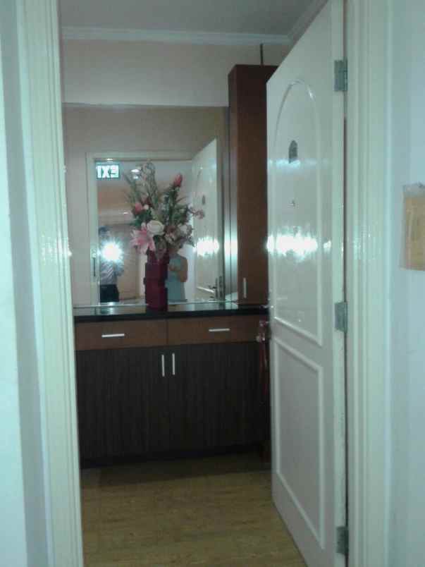 apartemen apt paladian