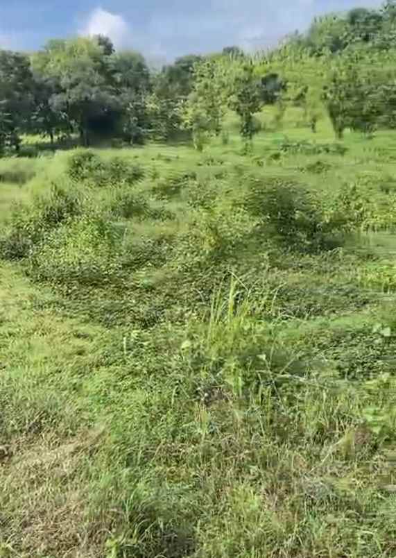 d jual tanah strategis