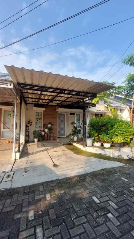 dijual rumah cluster pesona rorotan