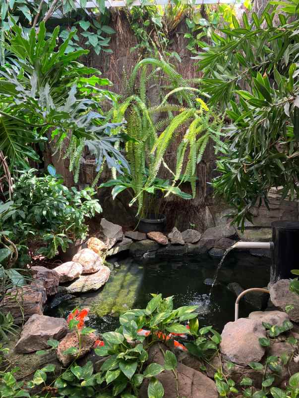 dijual rumah di jalan bangka jakarta selatan