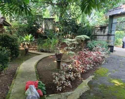dijual tanah ada kolam ikan rancabungur bogor