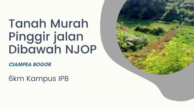 dijual tanah cinangka