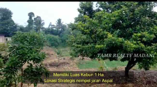 dijual tanah cinangka