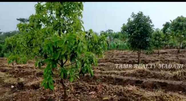 dijual tanah cinangka